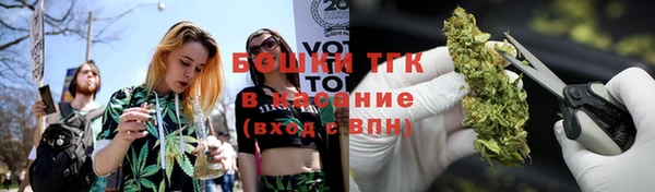 сатива Армянск