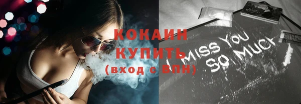 индика Щигры