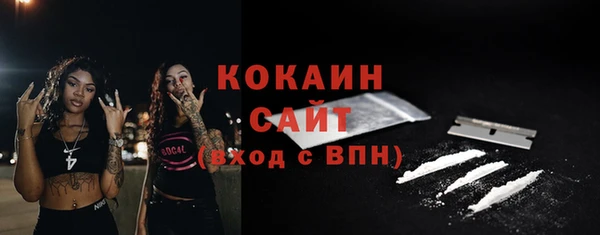 сатива Армянск