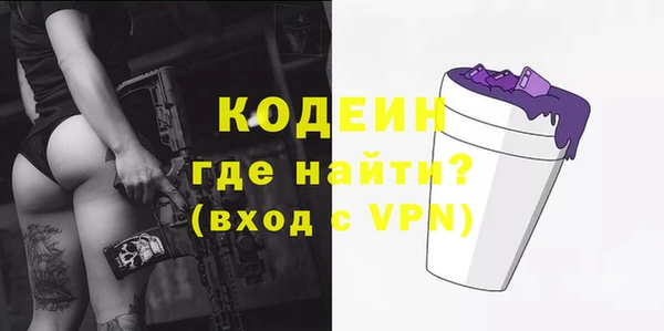 дурь Алексин