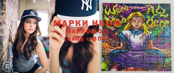 кокс Арсеньев