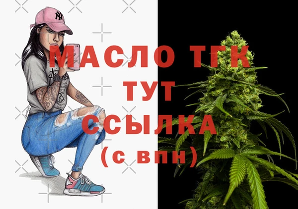 хмурый Аркадак