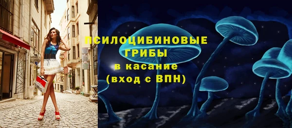 сатива Армянск