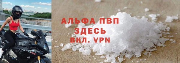 хмурый Аркадак