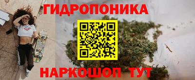 ECSTASY Ливны