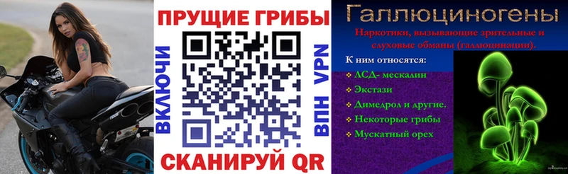 даркнет официальный сайт  Пенза  Псилоцибиновые грибы Cubensis  KRAKEN зеркало 