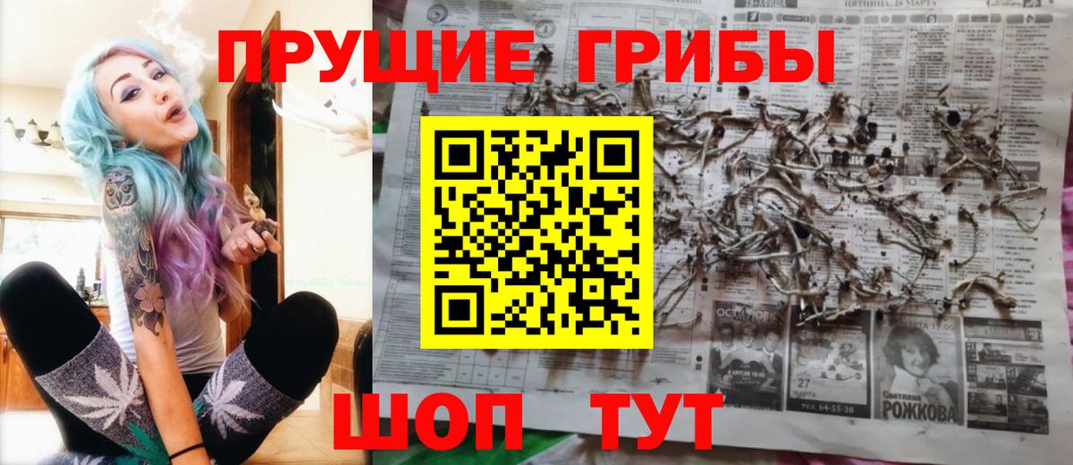 Галлюциногенные грибы Magic Shrooms  Вход с VPN  Псилоцибиновые грибы Cubensis  Пенза 