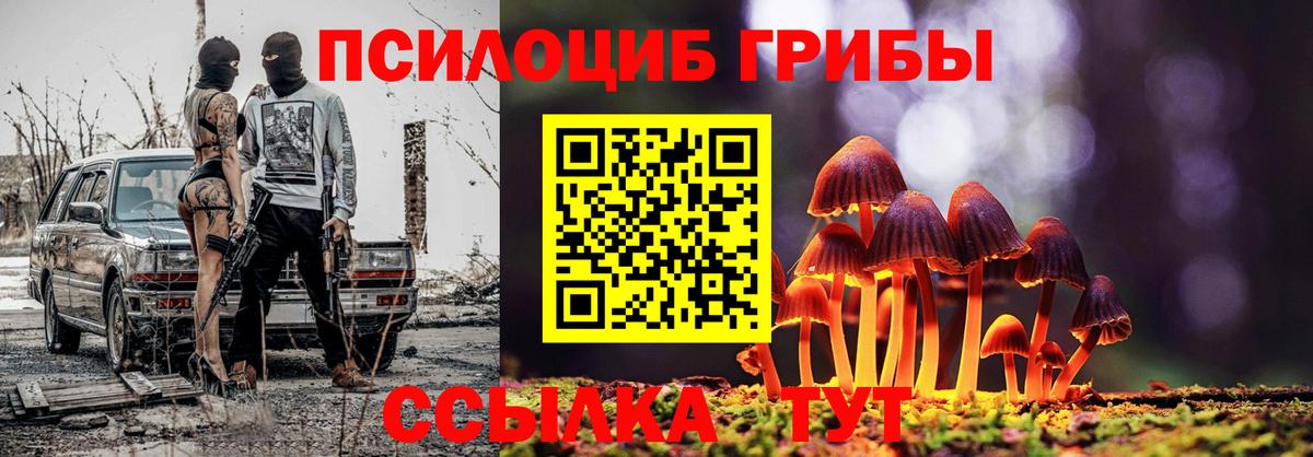 Галлюциногенные грибы Psilocybine cubensis Пенза